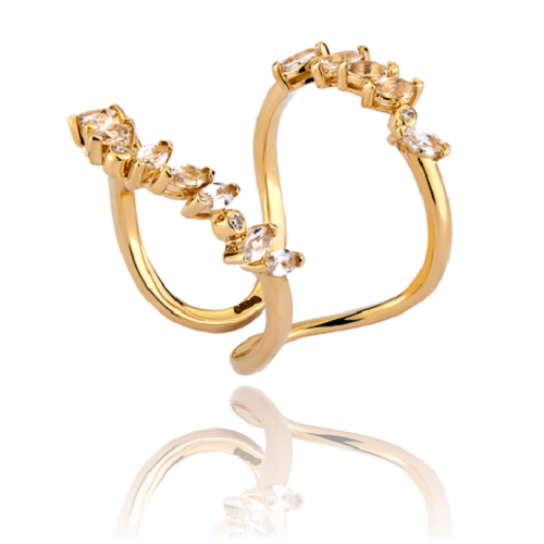 Striking-Engagement-Rings-for-Off-Beat-Brides-Gold-Double-Ring