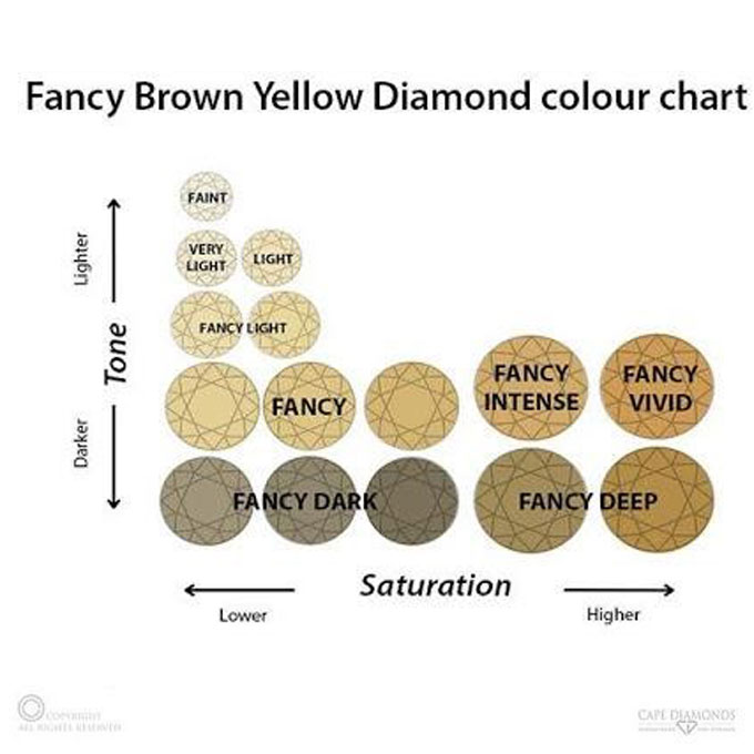 Fancy Brown-Yellow