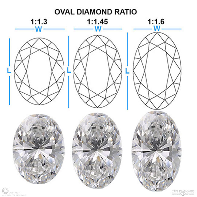 The Length to Width Ratio