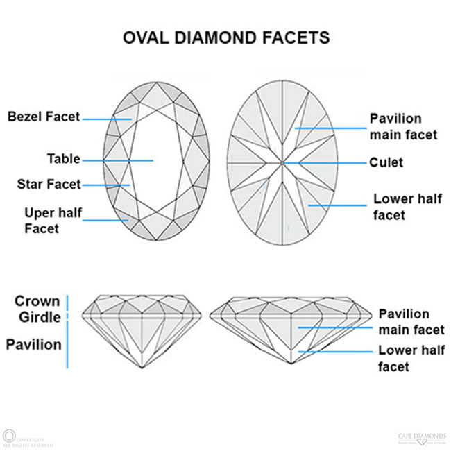 Oval Cut Facets