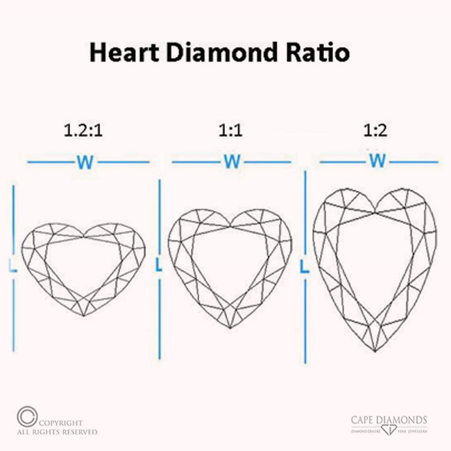Length to Width Ratio