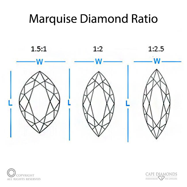 Length to Width Ratio