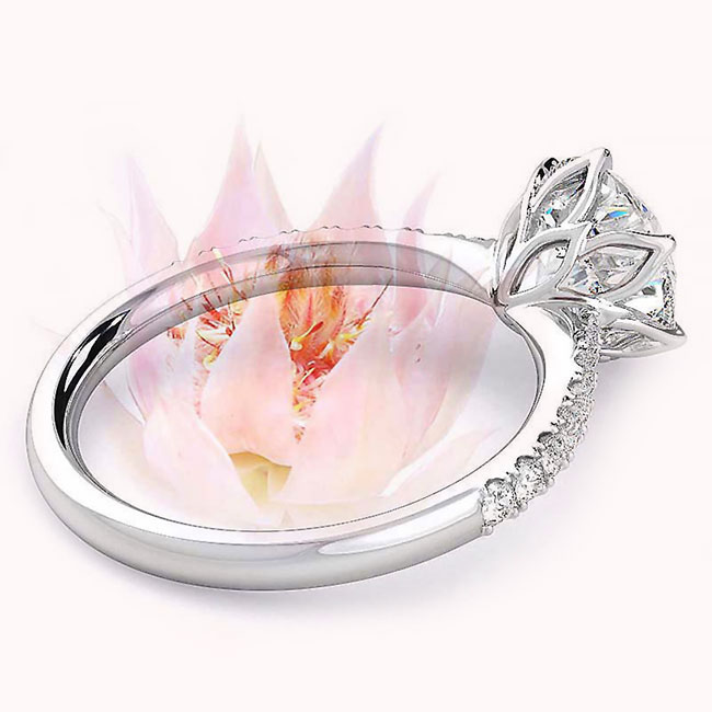 Blushing Bride Setting