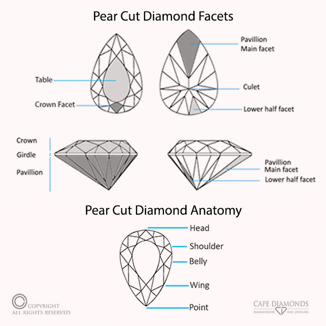 Pear-Cut Diamond Anatomy & Facets