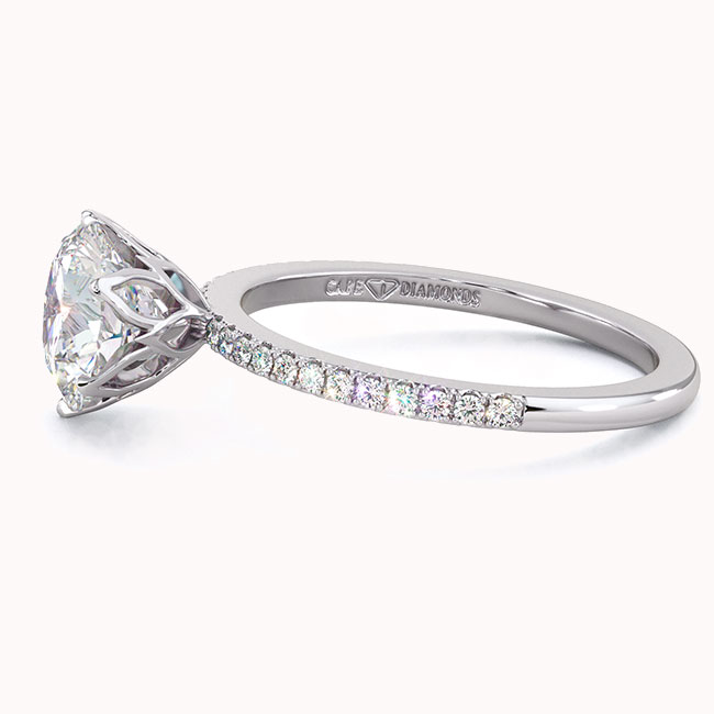 Side Stone Moissanite Engagement Rings