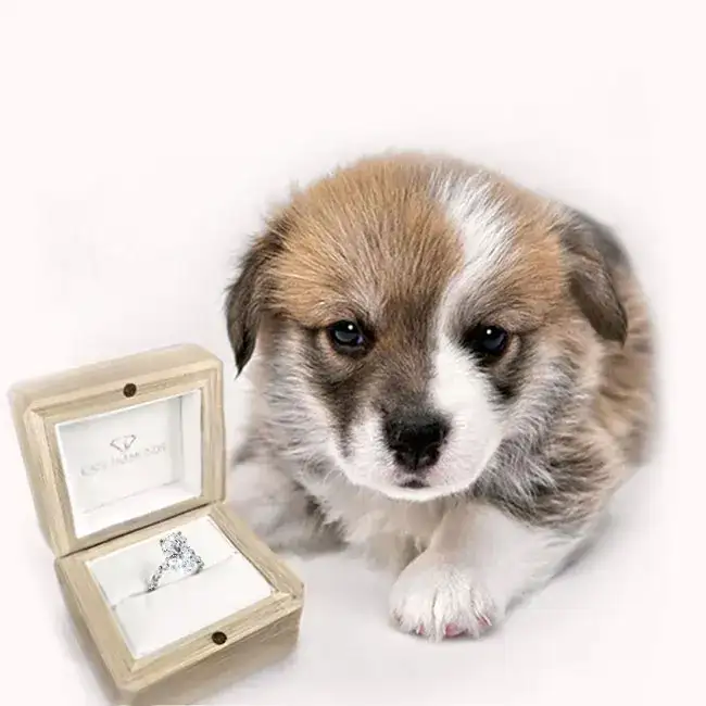 Sustainable Jewellery